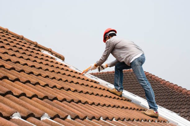Best Asphalt Shingle Roofing  in Langley, SC
