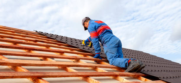 Best Roof Ventilation Installation  in Langley, SC