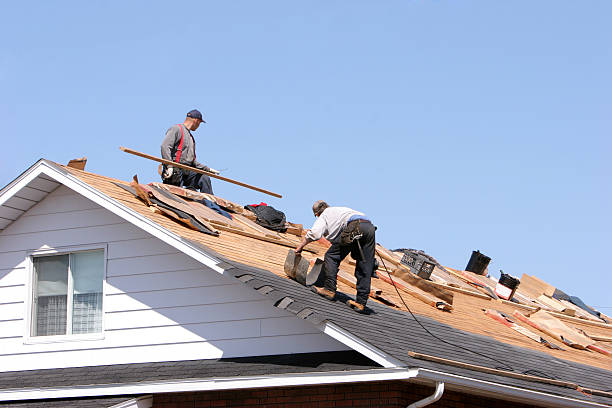 Best Hot Roofs  in Langley, SC